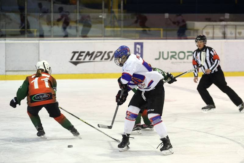 Ice Hockey. PLHK. Polonia Bytom - Naprzod Janow. 03.03.2018