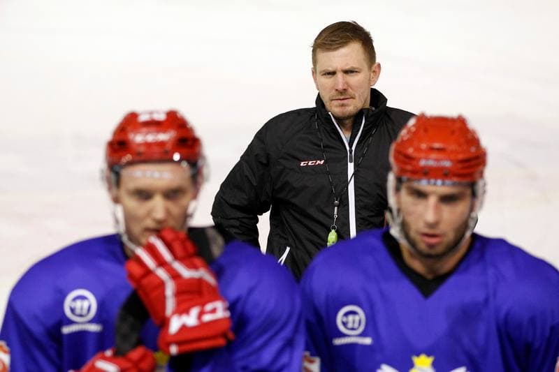 Ice Hockey. Poland national team. Training. 13.02.2018
