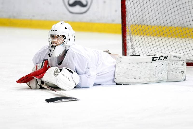 Ice Hockey. Poland national team. Training. 15.02.2018