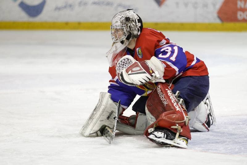 Ice Hockey. Polska Hokej Liga. GKS Tychy - Polonia Bytom. 24.02.2018