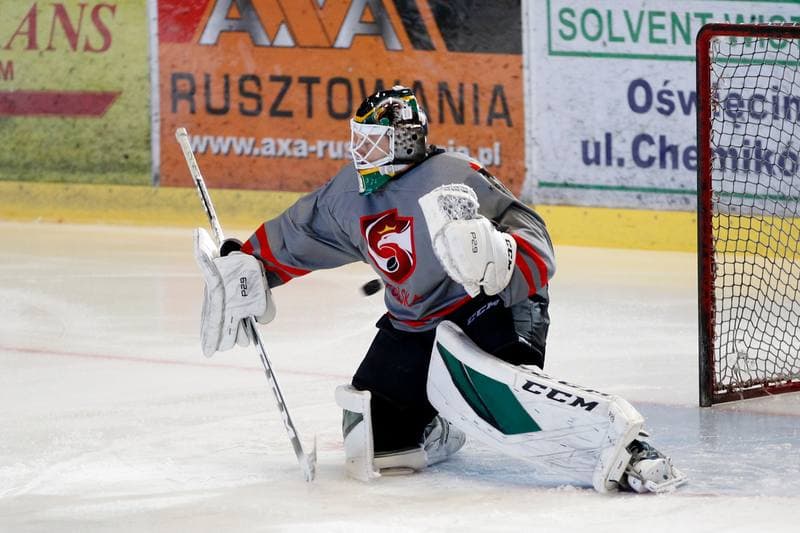 Ice Hockey. Poland U20. Training. 06.11.2018