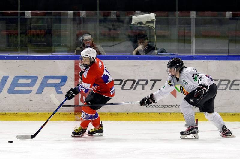 Ice Hockey. PLHK. Naprzod Janow - Polonia Bytom. 24.02.2018