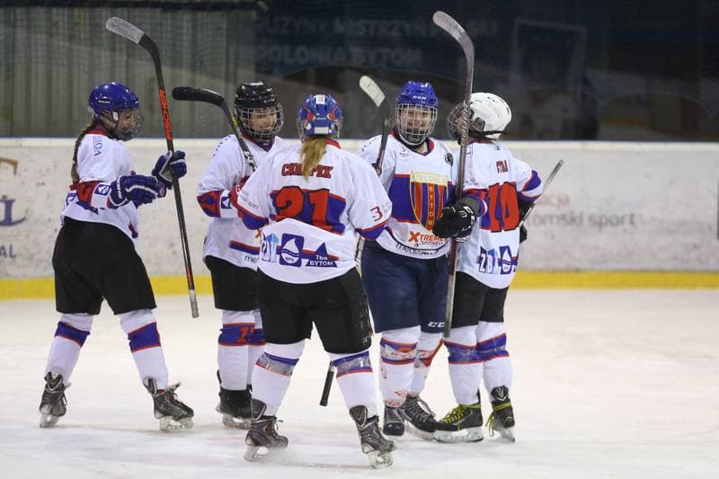 Ice Hockey. PLHK. Polonia Bytom - Naprzod Janow. 03.03.2018