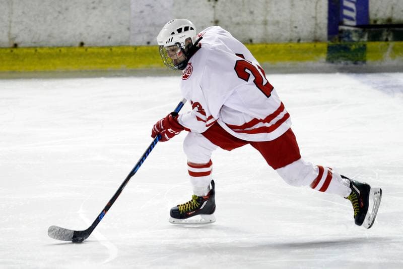 Ice Hockey. Women's U18 Championship. Poland - Hungary. 11.11.2018