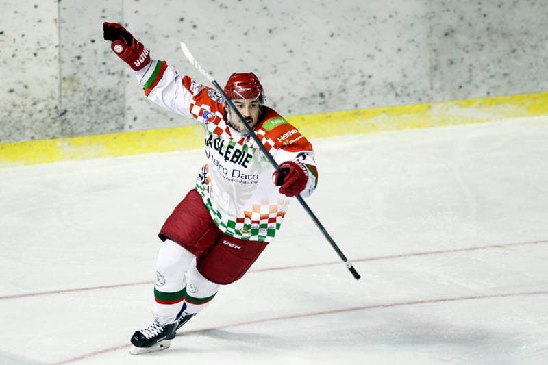 Ice Hockey. Polska Hokej Liga. Zaglebie Sosnowiec - TatrySki Podhale Nowy Targ. 25.11.2018