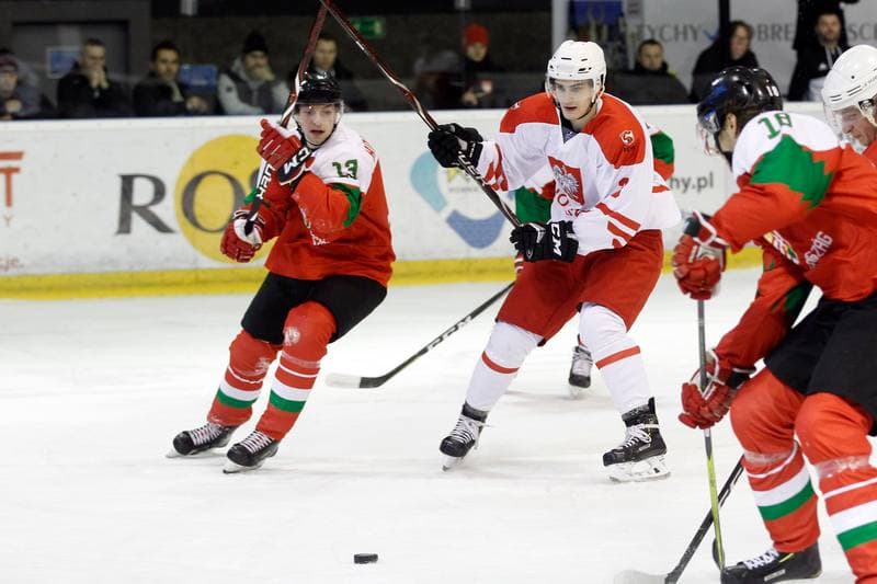 Ice Hockey. U20 World Championship Division 1B. Hungary - Poland. 14.12.2018