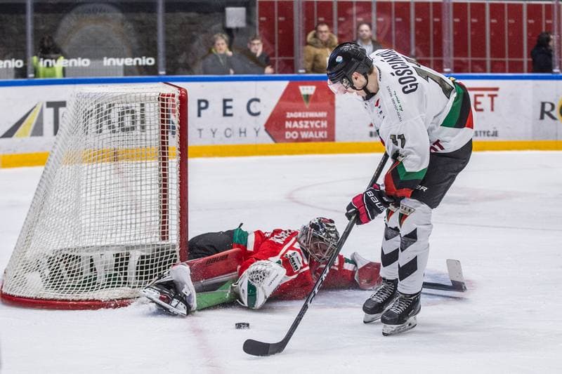 Ice Hockey. PHL. GKS Tychy - Zaglebie Sosnowiec. 17.01.2020