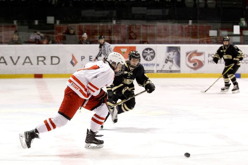 Ice Hockey. Women's Friendly Match. Poland - Washington Pride Hockey. 30.12.2018