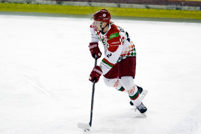 Ice Hockey. Polska Hokej Liga. Zaglebie Sosnowiec - Weglokoks Kraj Polonia Bytom. 13.01.2019