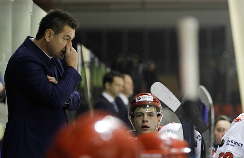 Ice Hockey. Euro Ice Hockey Challenge. Poland - Slovenia. 05.11.2015