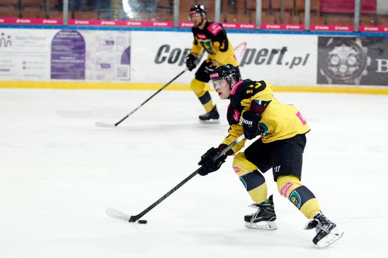 Ice Hockey. Polska Hokej Liga. Tauron KH GKS Katowice - Comarch Cracovia. 17.03.2019