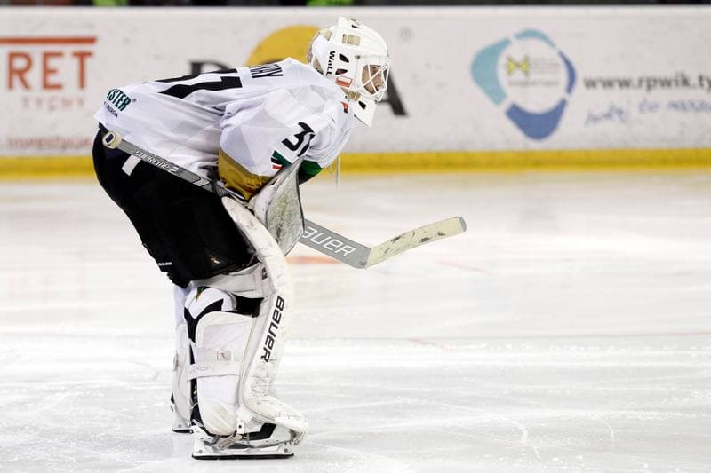 Ice Hockey. PHL. GKS Tychy - Comarch Cracovia. 02.04.2019