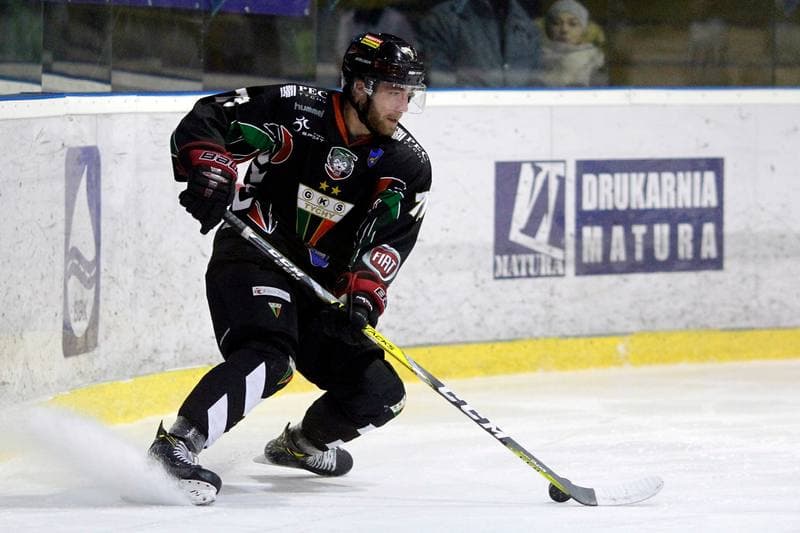 Ice Hockey. Polska Hokej Liga. Tempish Polonia Bytom - GKS Tychy. 06.01.2017