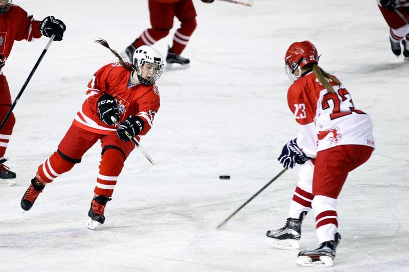 Ice Hockey. Women's U18 Friendly Match. Poland - Denmark. 06.01.2017