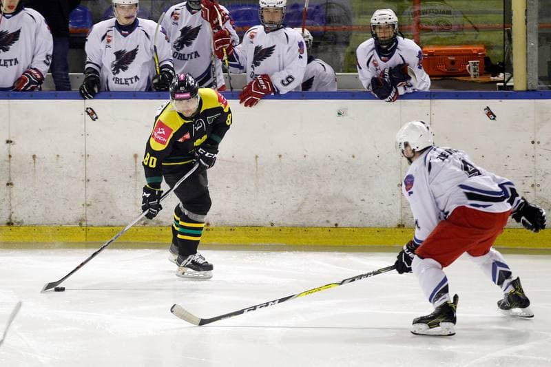 Ice Hockey. Polska Hokej Liga. SMS PZHL Sosnowiec - Tauron KH GKS Katowice. 31.01.2017