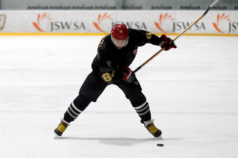 Ice Hockey. Polska Hokej Liga. JKH GKS Jastrzebie - Comarch Cracovia. 10.01.2019