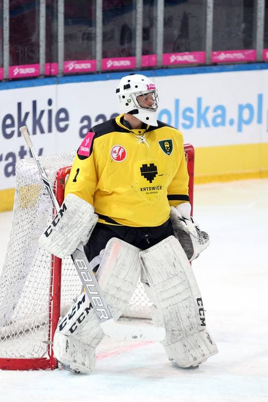Ice Hockey. Polska Hokej Liga. Tauron KH GKS Katowice - GKS Tychy. 25.02.2017