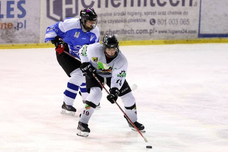 Ice Hockey. PLHK. Naprzod Janow - Stoczniowiec Gdansk. 25.02.2017
