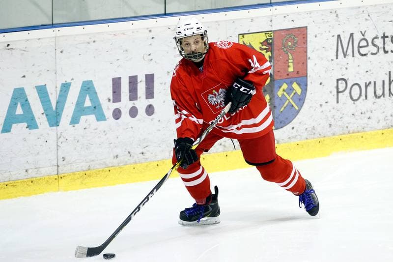 Ice Hockey. Women's Friendly Match. Poland - Ontario. 04.04.2017