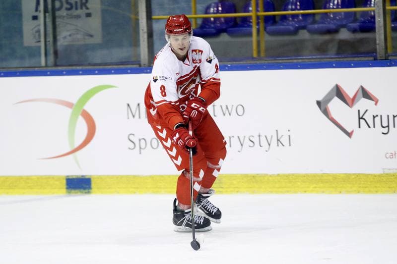 Ice Hockey. International Friendly Match. Poland - Slovakia B. 07.04.2017