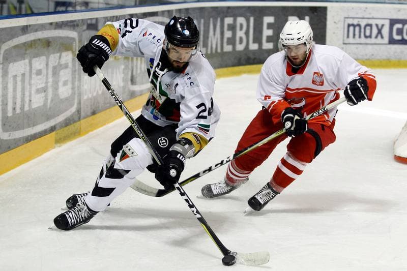 Ice Hockey. Polska Hokej Liga. GKS Tychy - Kadra PZHL U23. 24.10.2018