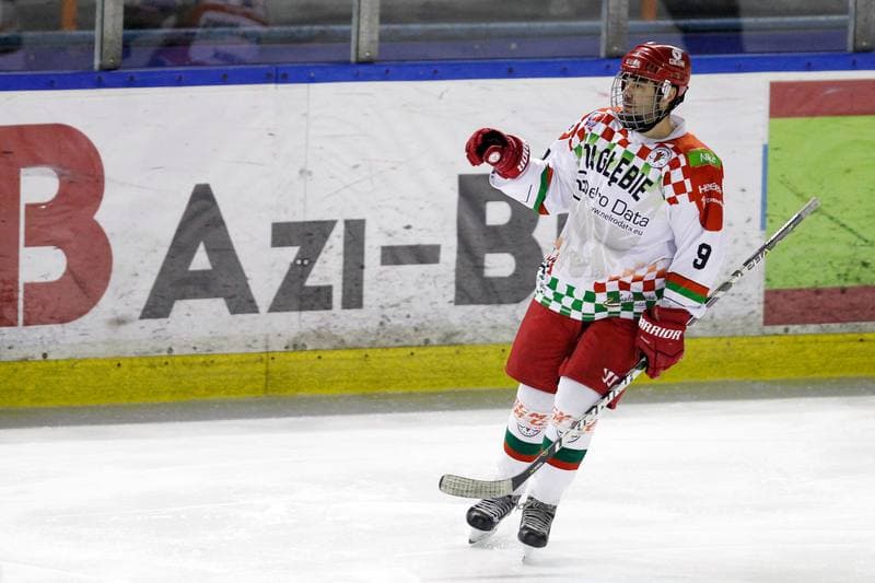Ice Hockey. Polska Hokej Liga. Zaglebie Sosnowiec - Weglokoks Kraj Polonia Bytom. 28.10.2018