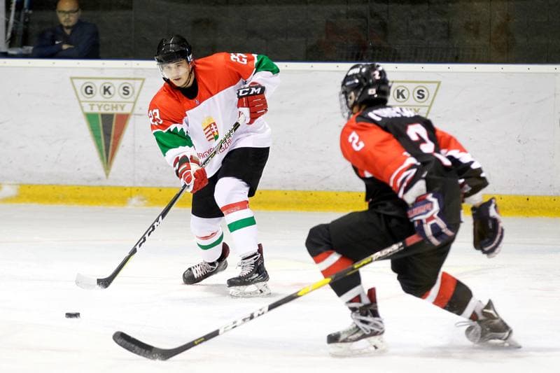 Ice Hockey. U20 World Championship Division I. Japan - Hungary. 08.12.2018