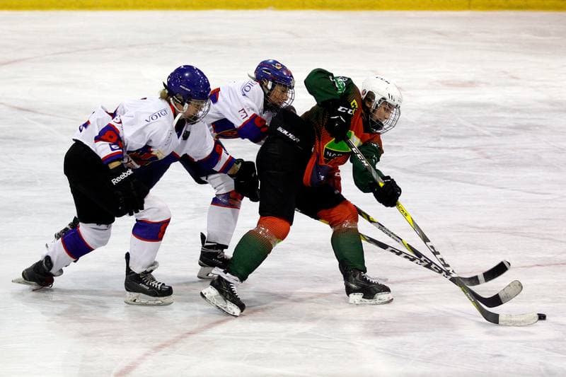 Ice Hockey. PLHK. Polonia Bytom - Naprzod Janow. 21.10.2017