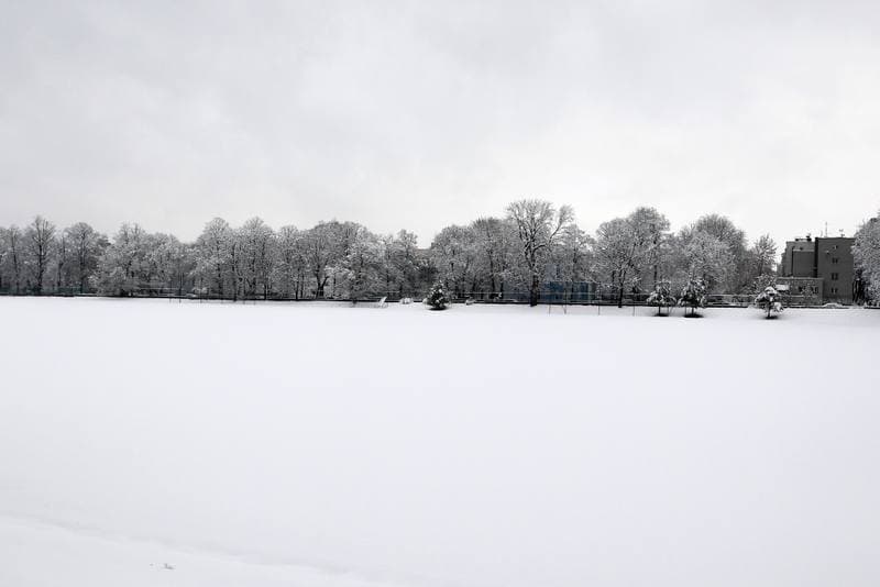 Football. Gornik Zabrze. Training. 04.02.2019