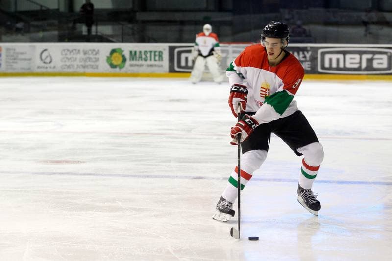 Ice Hockey. U20 World Championship Division 1B. Slovenia - Hungary. 12.12.2018