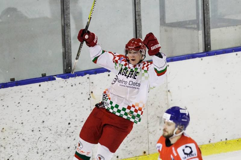 Ice Hockey. Polska Hokej Liga. Zaglebie Sosnowiec - Weglokoks Kraj Polonia Bytom. 13.01.2019