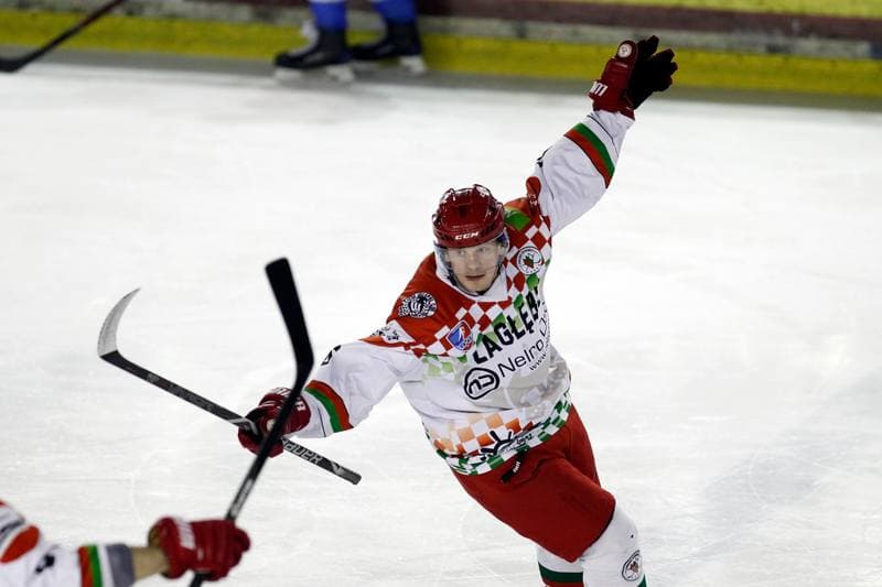 Ice Hockey. Polska Hokej Liga. Zaglebie Sosnowiec - Unia Oswiecim. 01.02.2019