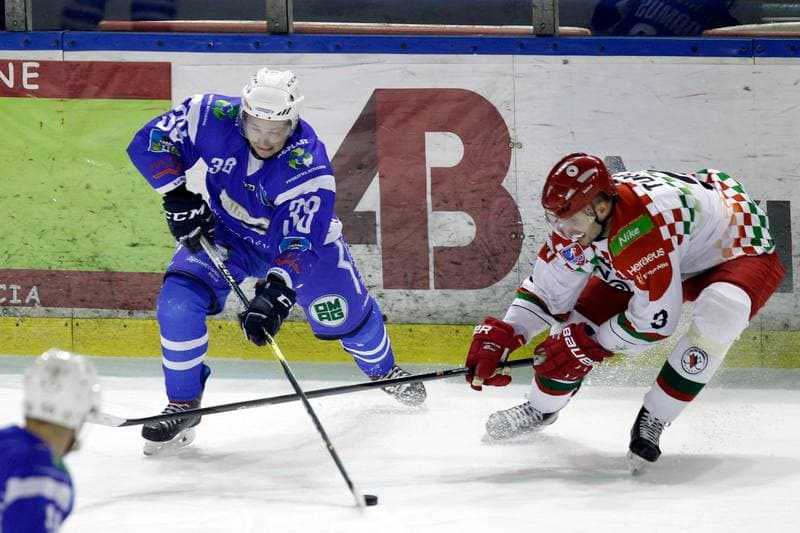 Ice Hockey. Polska Hokej Liga. Zaglebie Sosnowiec - Unia Oswiecim. 01.02.2019