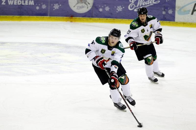 Ice Hockey. Polska Hokej Liga. Anteo Naprzod Janow - Comarch Cracovia Krakow. 19.01.2018