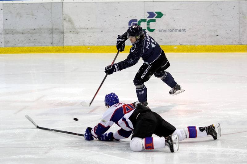 Ice Hockey. Polska Hokej Liga. Polonia Bytom - Automatyka Gdansk. 21.01.2018