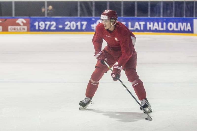 Ice Hockey. Poland national team. Training. 08.11.2019