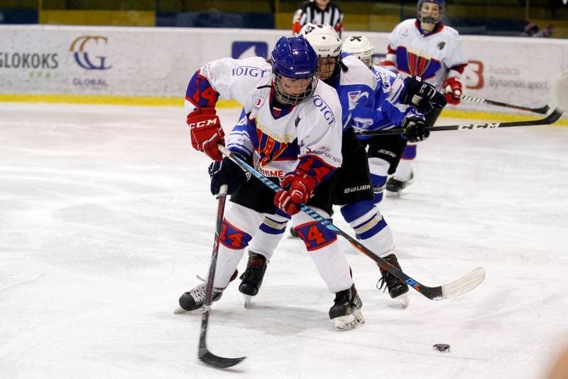 Ice Hockey. PLHK. Polonia Bytom - Stoczniowiec Gdansk. 09.03.2019