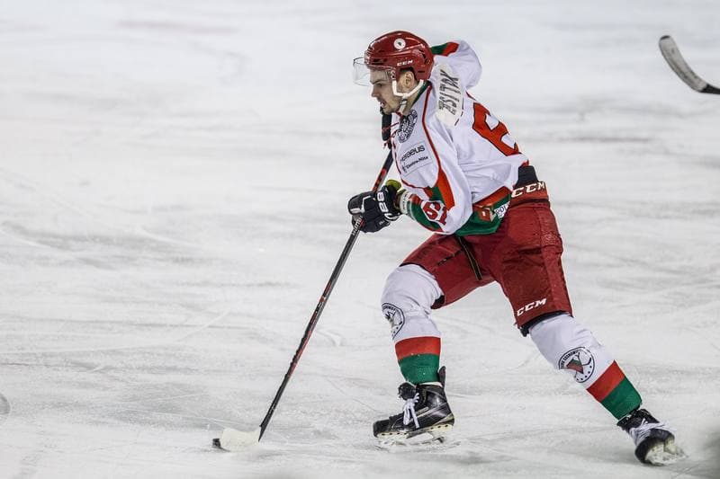 Ice Hockey. PHL. Zaglebie Sosnowiec - Naprzod Janow. 14.01.2020