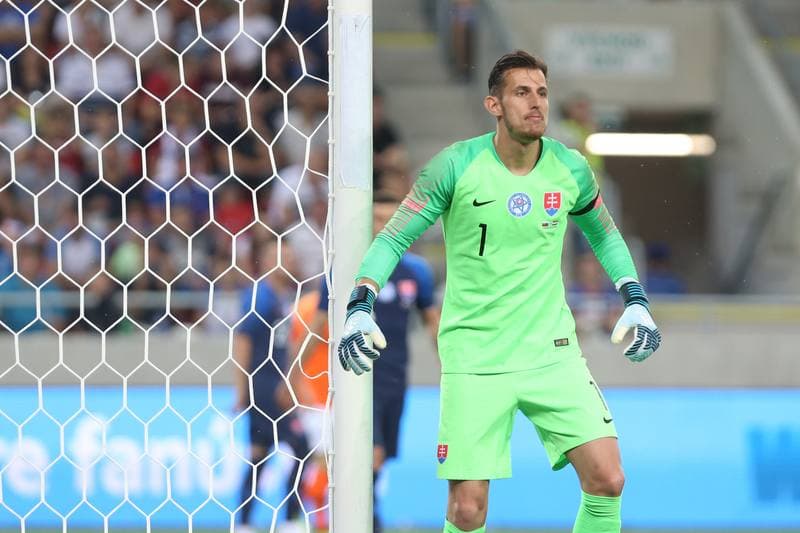 Football. International Friendly. Slovakia - Netherlands. 31.05.2018
