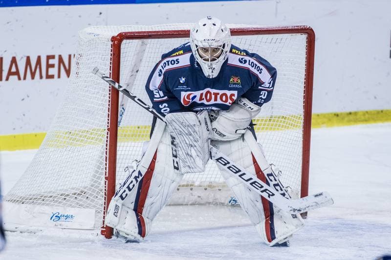 Ice Hockey. PHL. Naprzod Janow - Lotos PKH Gdansk. 20.01.2020