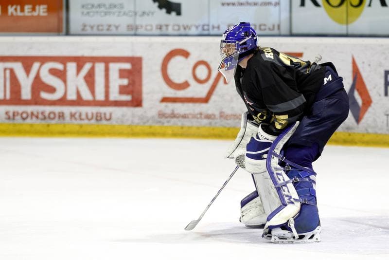 Ice Hockey. PHL. GKS Tychy - Comarch Cracovia. 02.04.2019