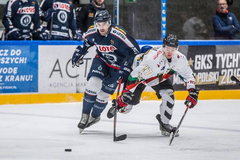 Ice Hockey. PHL. GKS Tychy - Lotos PKH Gdansk. 31.01.2020
