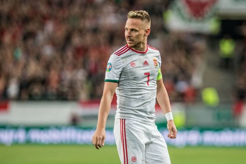Football. Euro 2020 Qualifiers. Hungary - Wales. 11.06.2019