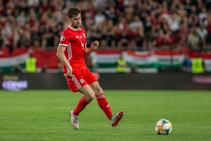 Football. Euro 2020 Qualifiers. Hungary - Wales. 11.06.2019
