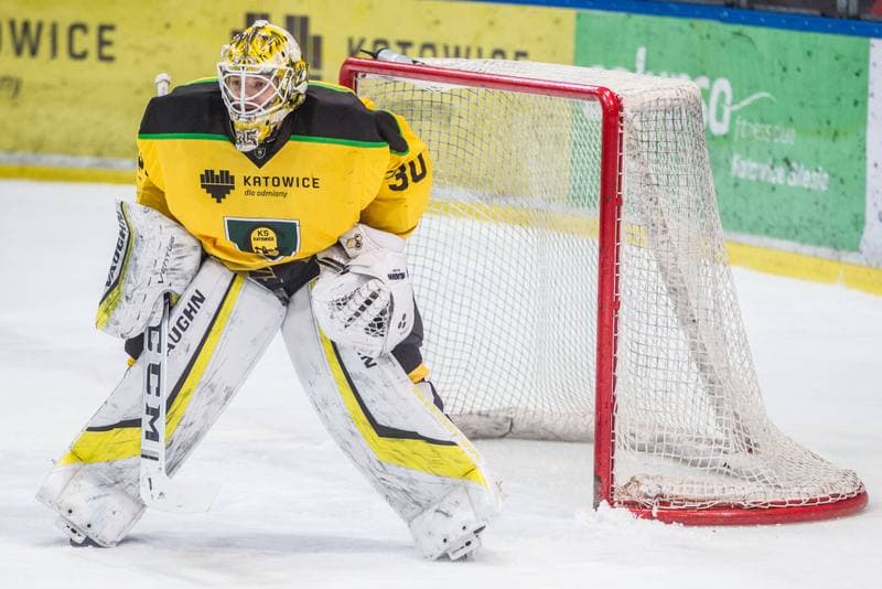 Ice Hockey. PHL. GKS Katowice - JKH GKS Jastrzebie. 02.02.2020