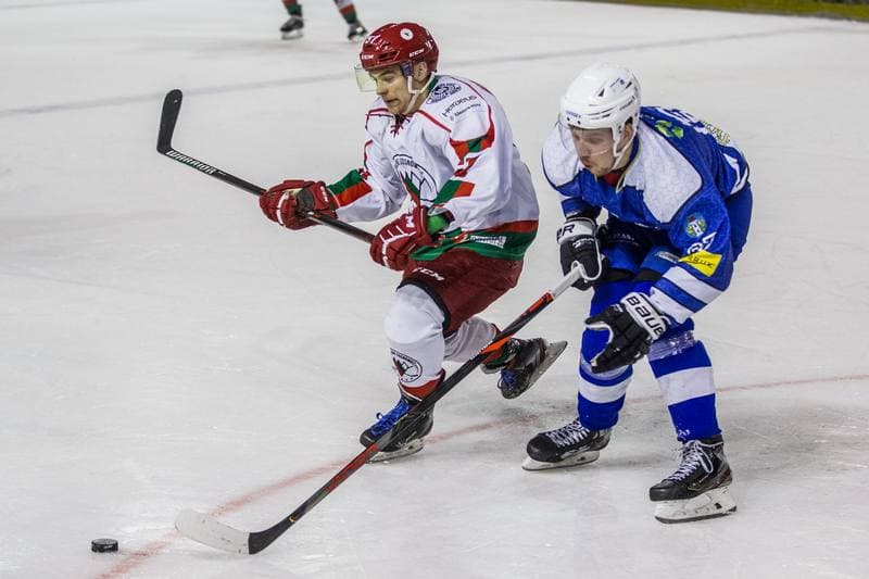 Ice Hockey. PHL. Zaglebie Sosnowiec - Re-Plast Unia Oswiecim. 12.01.2020
