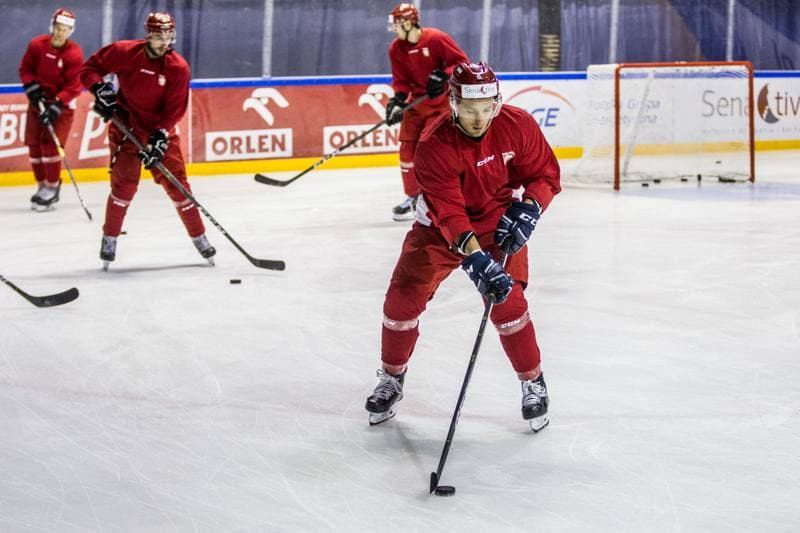 Ice Hockey. Poland national team. Training. 08.11.2019