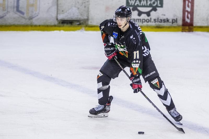 Ice Hockey. PHL. Naprzod Janow - GKS Tychy. 15.12.2019