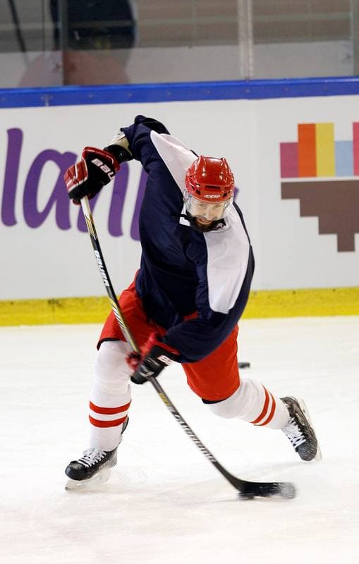 Ice Hockey. Poland national team. Training. 04.11.2015