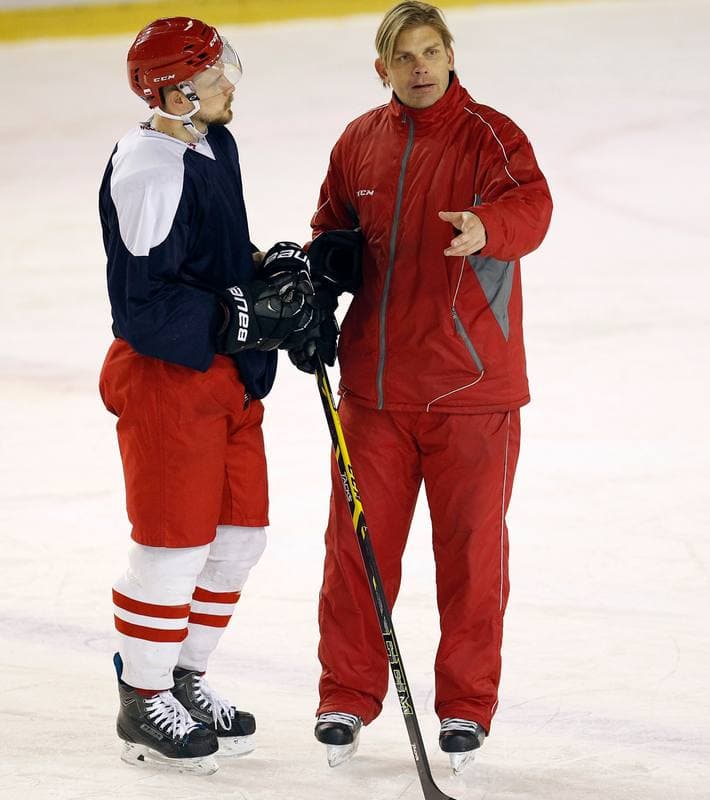 Ice Hockey. Poland national team. Training. 04.11.2015